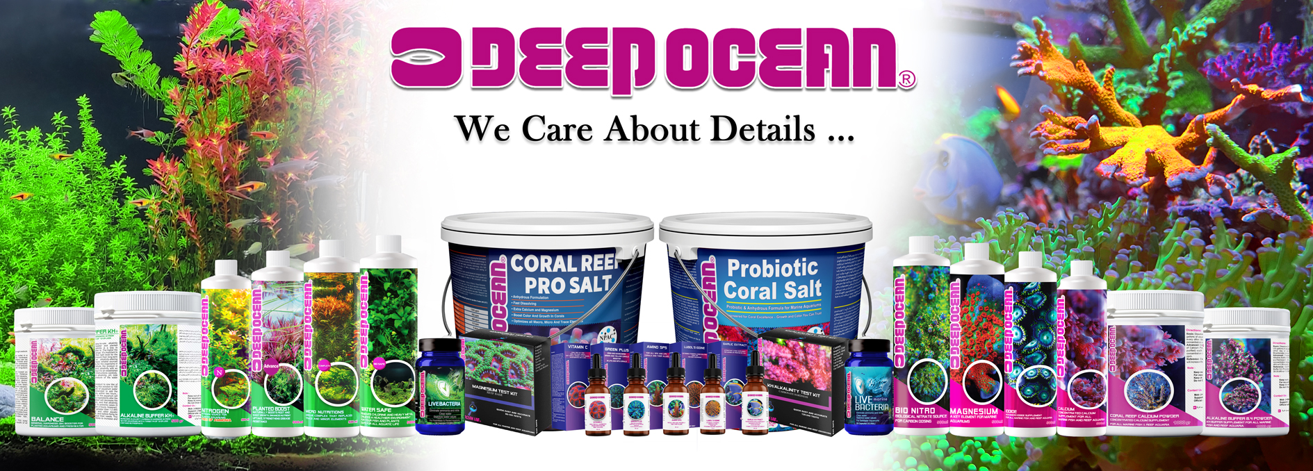 deepOcean_Sliderc9b0f7cb-3064-4c87-bc35-ad20b67217ed.jpg
